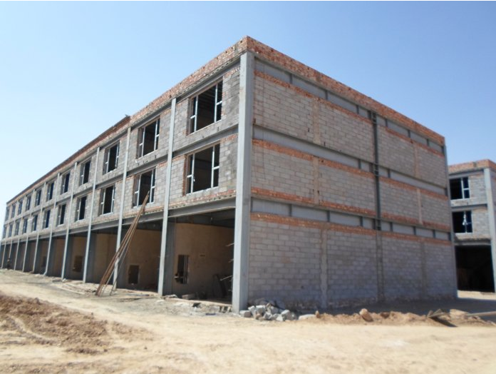 空港花卉-蘭州新區(qū)